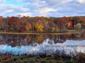 Smitten in da Mitten - 18 acres, Arcades, High Spd Web, Hot Tub, Pond!